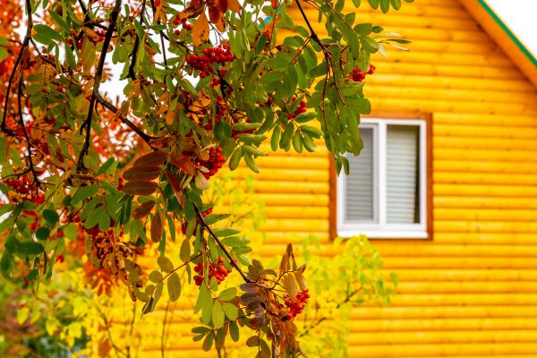 Garden Window Replacement in Port Richey
